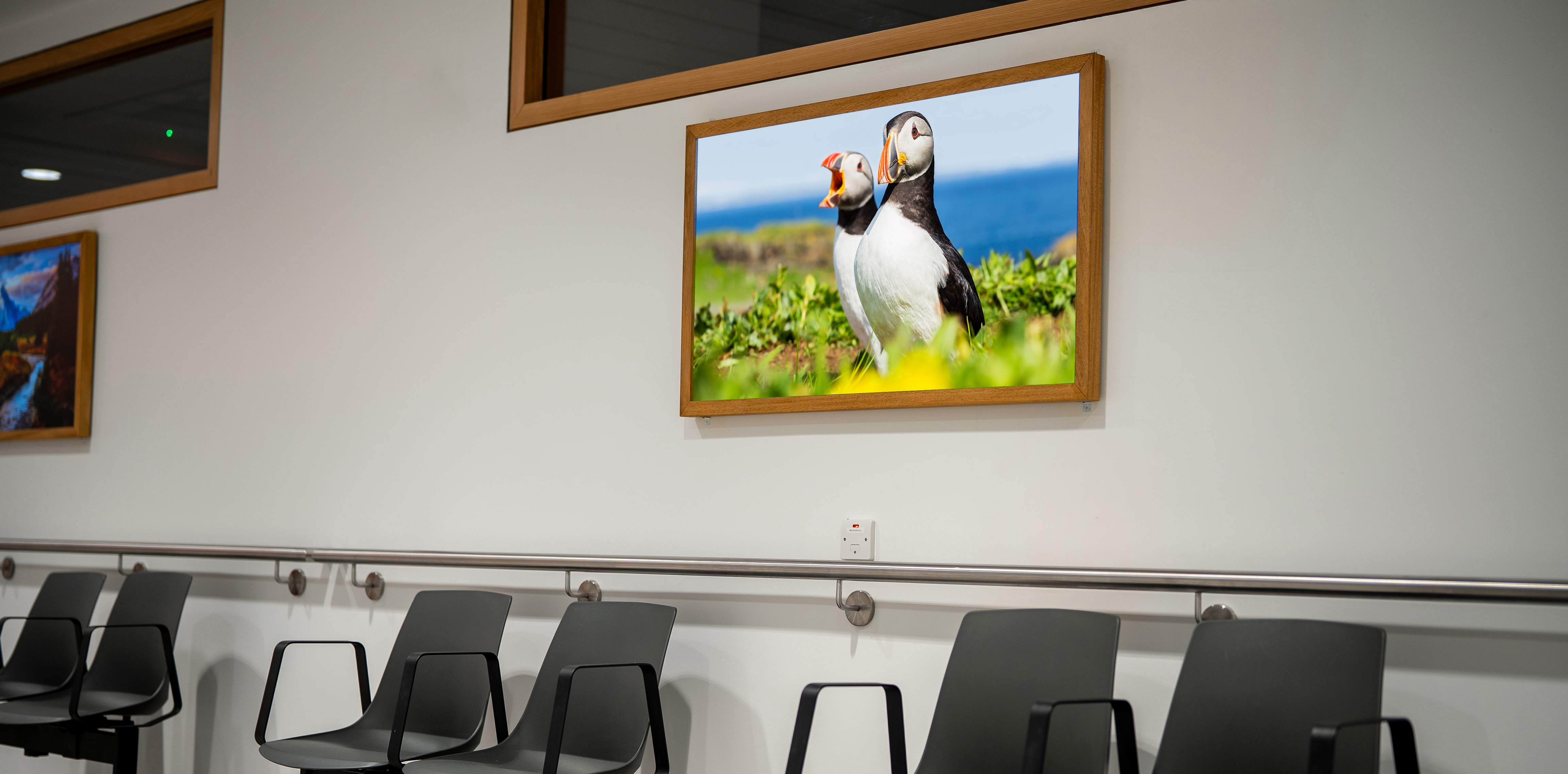Nature imagery for clinical environments