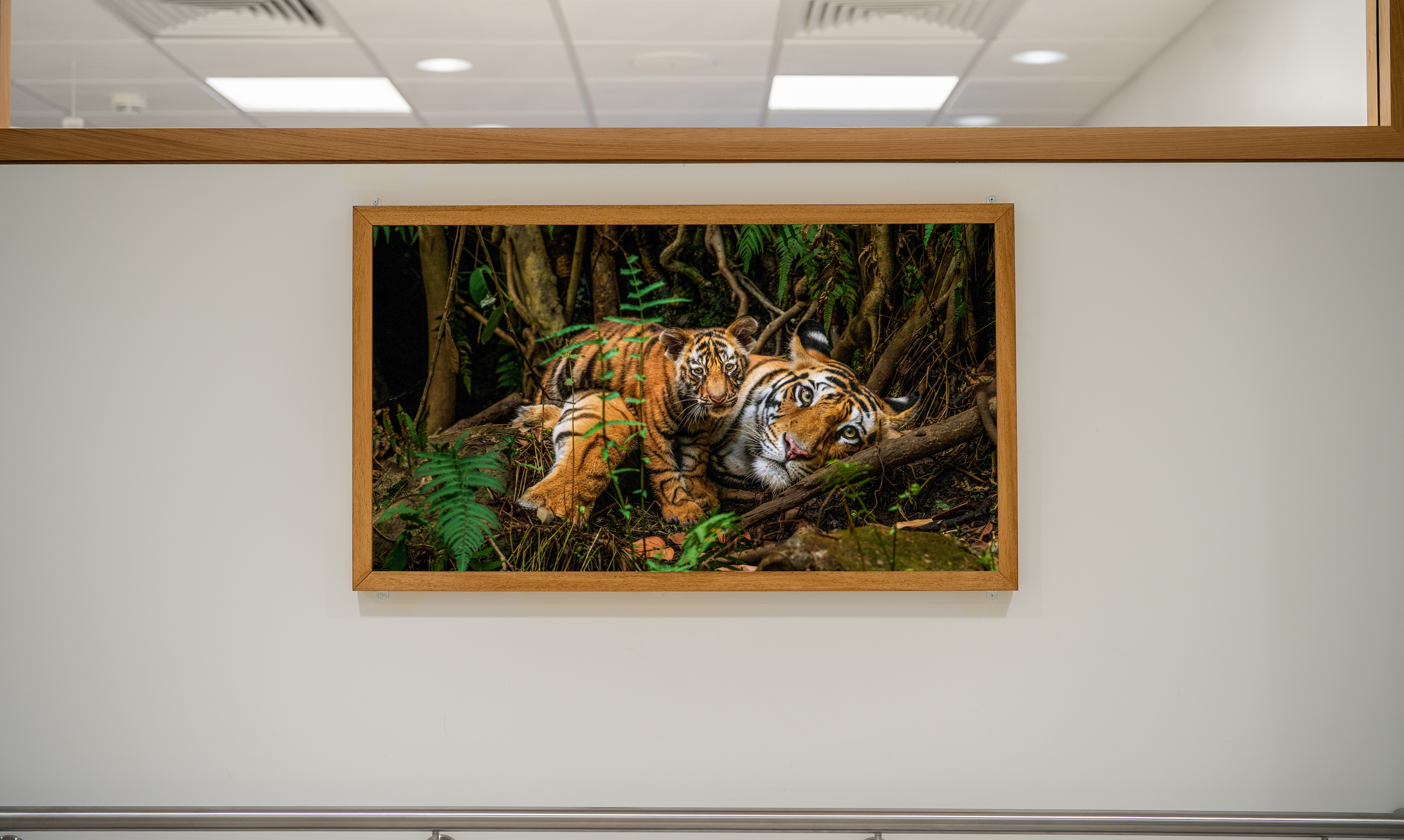Digital art installation in a hospital corridor