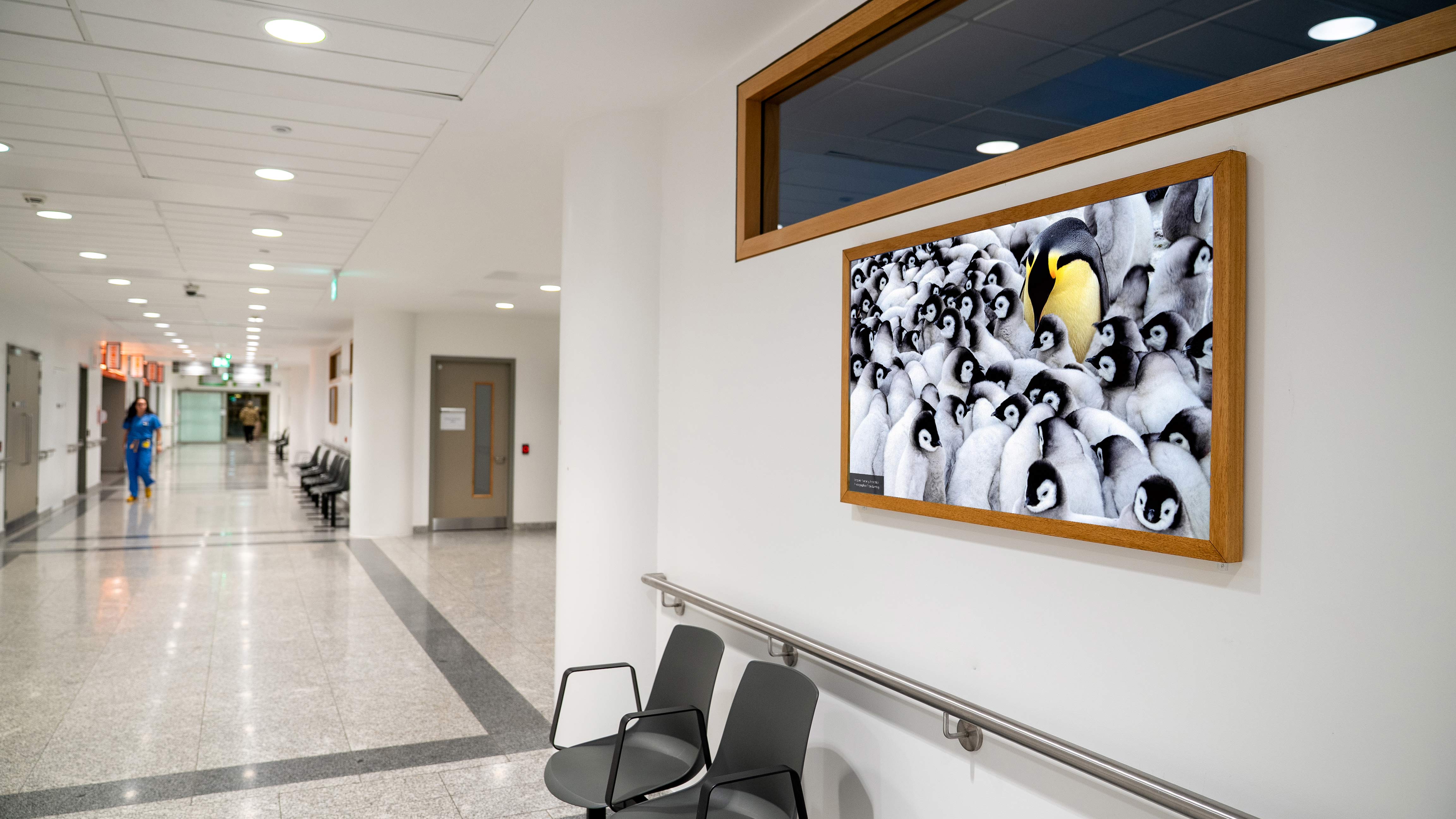 The Art Frame installed at Mater Misericordiae University Hospital